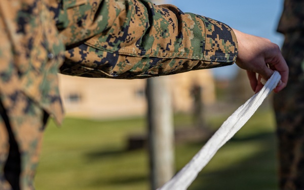 U.S. Marines hone tier I TCCC medical readiness in Swedish environment