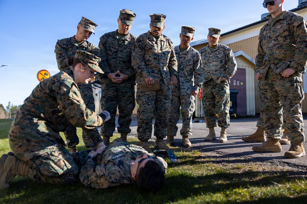 U.S. Marines hone tier I TCCC medical readiness in Swedish environment