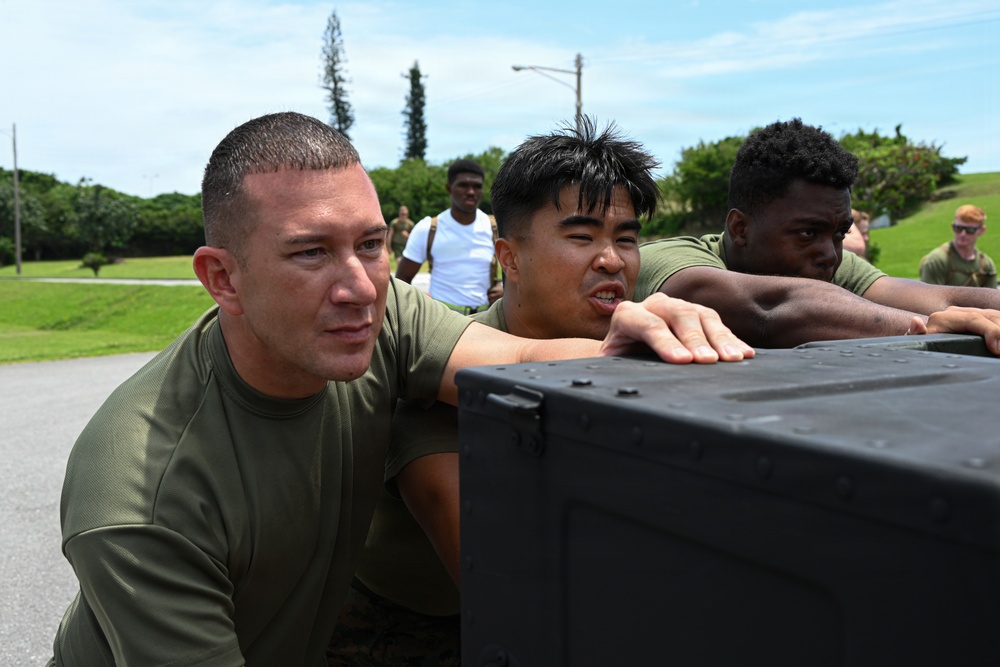 3rd MLG Celebrates 68th Birthday with Unit-Wide Field Meet
