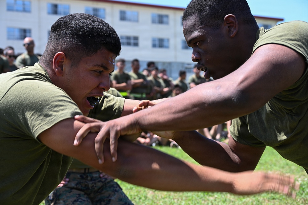 3rd MLG Celebrates 68th Birthday with Unit-Wide Field Meet
