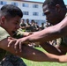 3rd MLG Celebrates 68th Birthday with Unit-Wide Field Meet