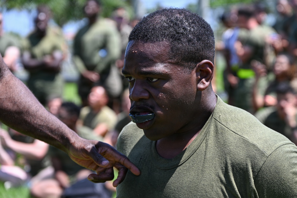 3rd MLG Celebrates 68th Birthday with Unit-Wide Field Meet
