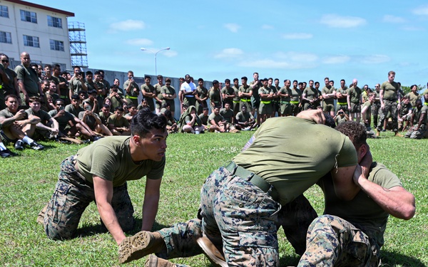 3rd MLG Celebrates 68th Birthday with Unit-Wide Field Meet