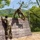Eighth Army Best Squad Competitors Tackle Obstacles