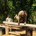 Eighth Army Best Squad Competitors Tackle Obstacles