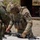 8th Army Best Squad Competition - Stress Shoot Event