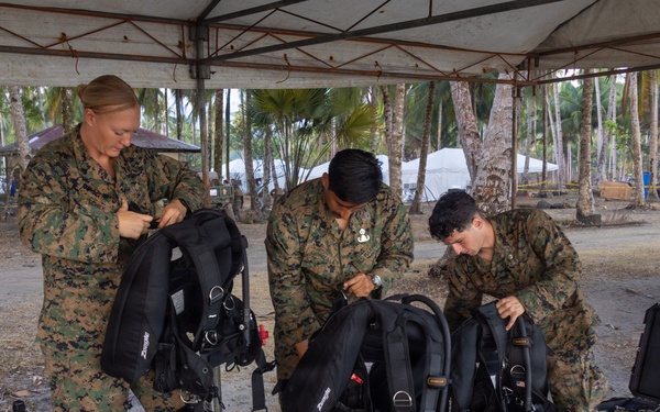 Armed Forces of the Philippines, U.S., Australia, and New Zealand conduct a Counter Landing Live-fire Event