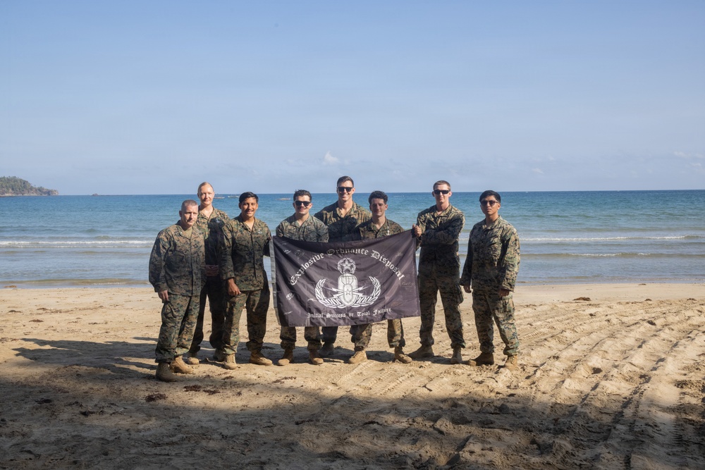 Armed Forces of the Philippines, U.S., Australia, and New Zealand conduct a Counter Landing Live-fire Event