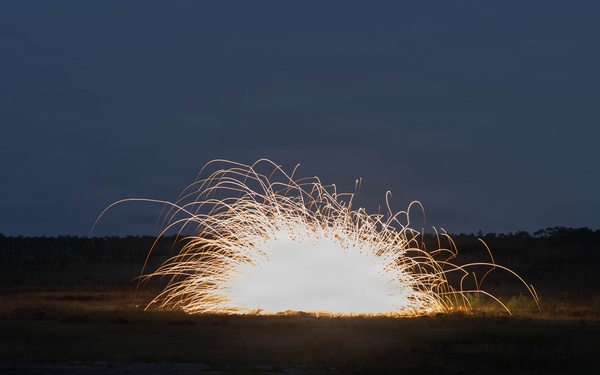 Joint exercise EW Spiral enhances interoperability with NATO partners