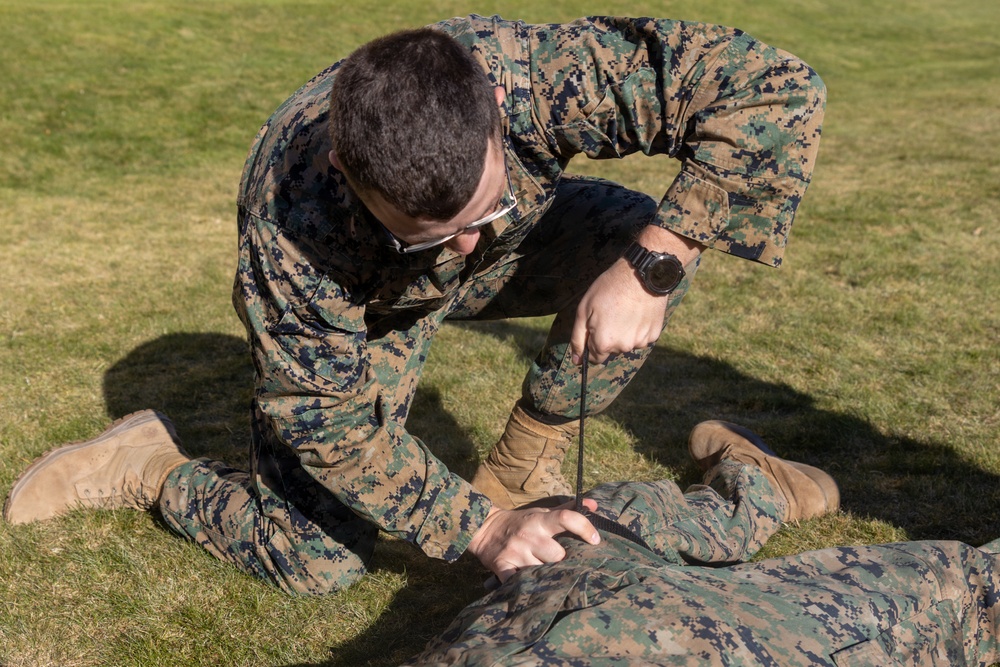 U.S. Marines complete Combat Medical Care training in Scandinavia