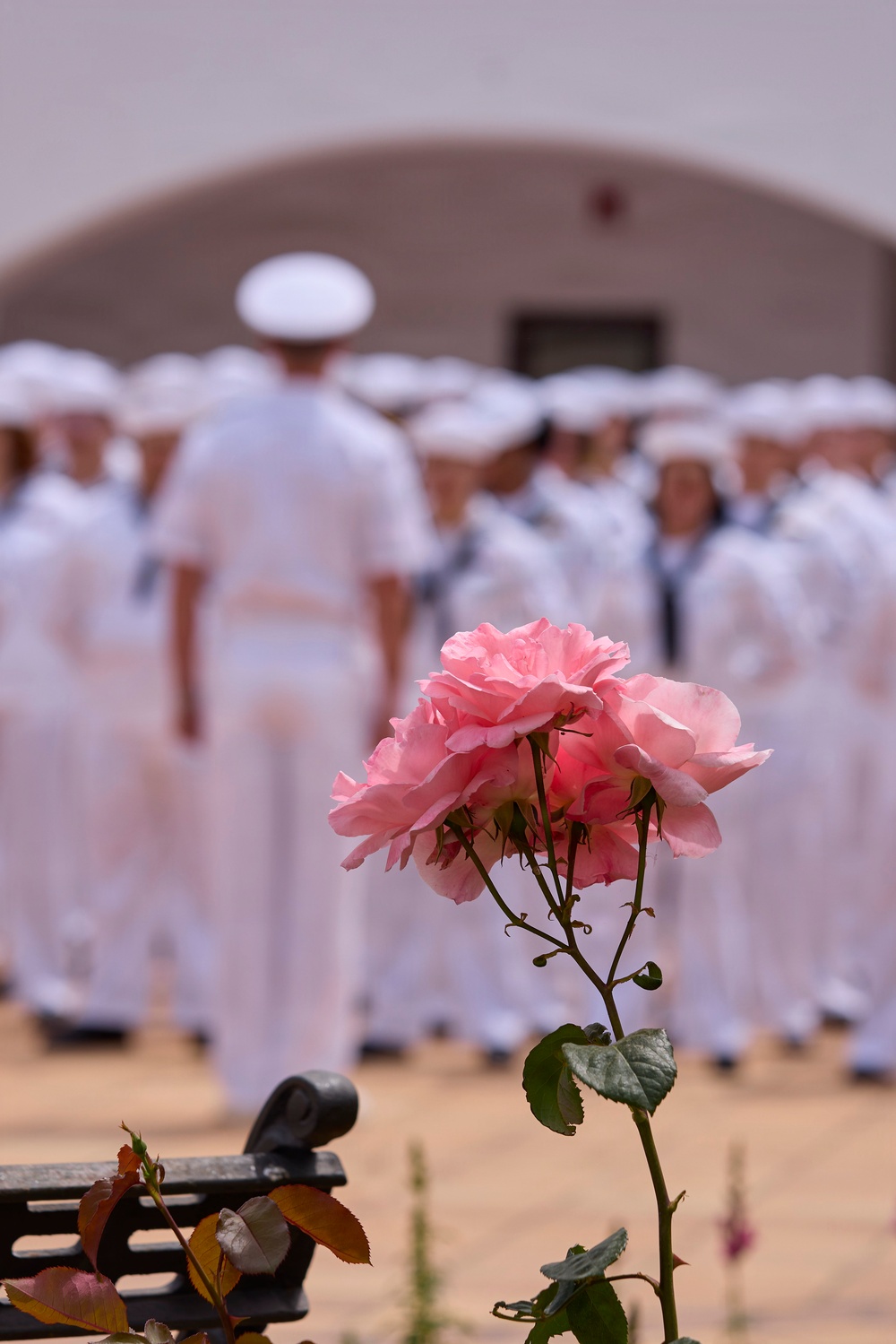 NMRTC Rota Highlights Tradition, Readiness During Dress White Inspection
