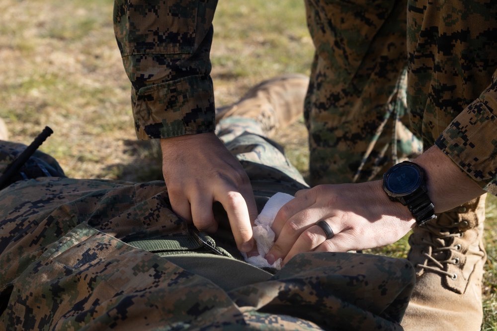 U.S. Marines complete Combat Medical Care training in Scandinavia