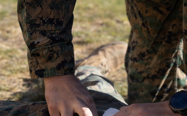 U.S. Marines complete Combat Medical Care training in Scandinavia