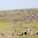 OARNG and IARNG Conduct MORTEX at OCTC