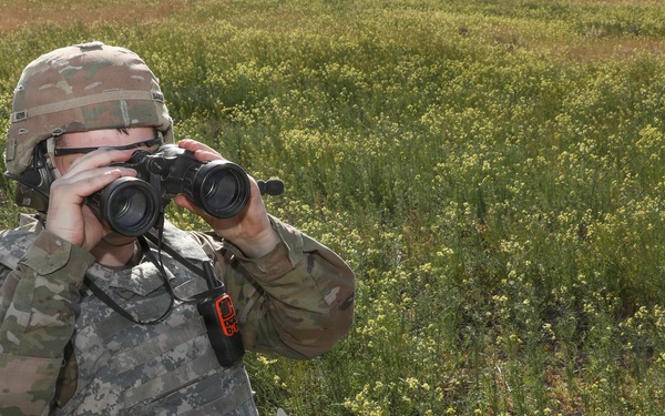OARNG and IARNG Conduct MORTEX at OCTC