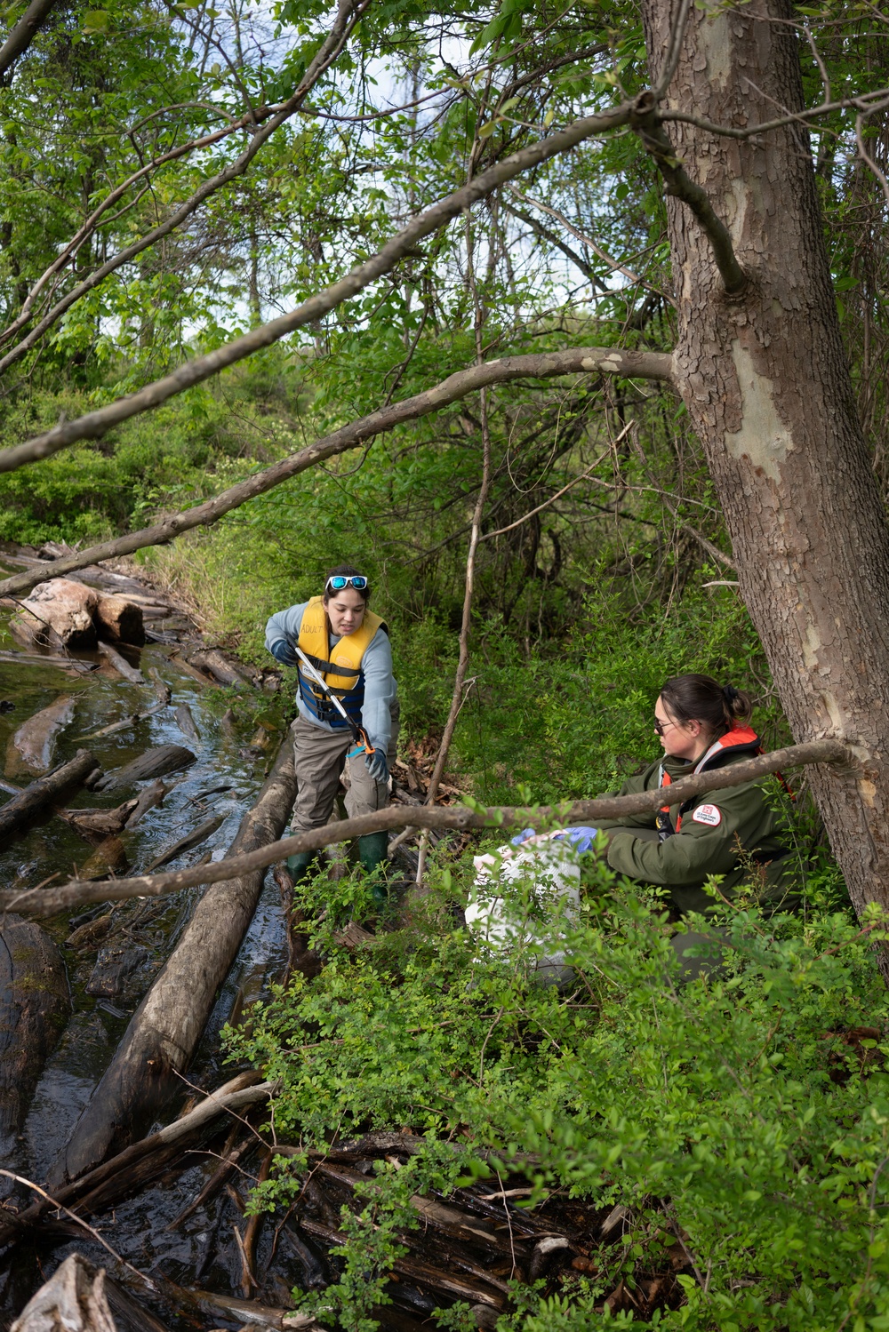 Community Volunteers Join Friends of Raystown Lake and USACE for Annual Raystown Lake Cleanup Day