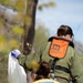 Community Volunteers Join Friends of Raystown Lake and USACE for Annual Raystown Lake Cleanup Day