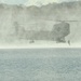 Region IV Best Warrior Competition Helocast Swim