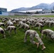 USAFA Recognition and Promotion Weekend 2026
