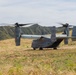 13th MEU Marines conduct a Vertical Assault Raid
