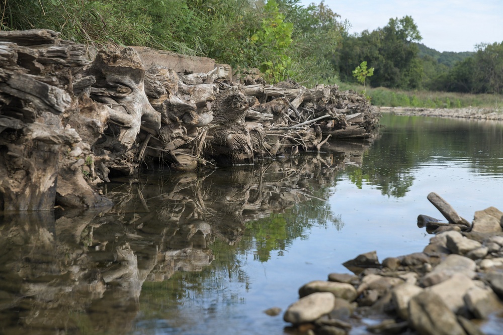 NRCS works with Arkansas partner to restore riverbanks and improve water quality