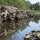 NRCS works with Arkansas partner to restore riverbanks and improve water quality