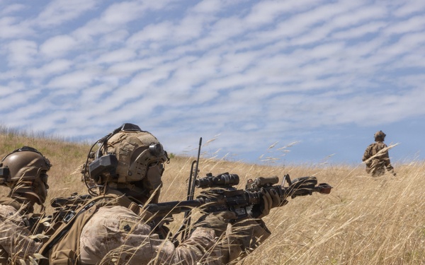 BLT 2/4 conducts a Vertical Assault Raid