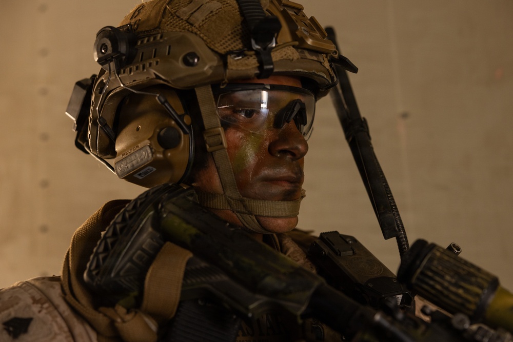 BLT 2/4 conducts a Vertical Assault Raid