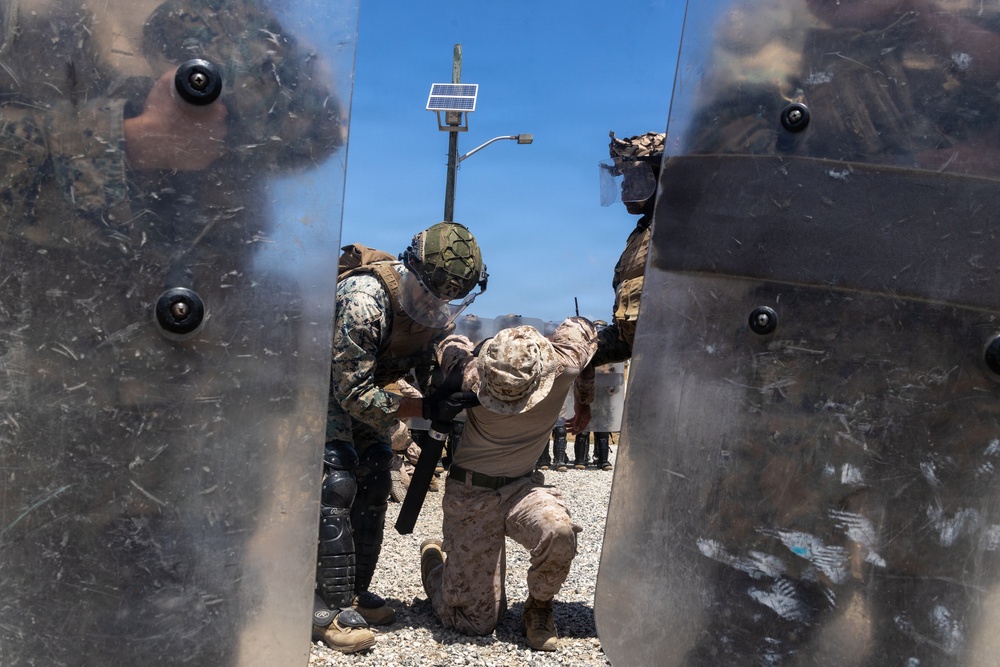 U.S. Marines with 2nd Bn., 5th Marines participate in non-lethal weapons course