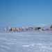 Pituffik Space Base Celebrates Greenlandic Heritage Week