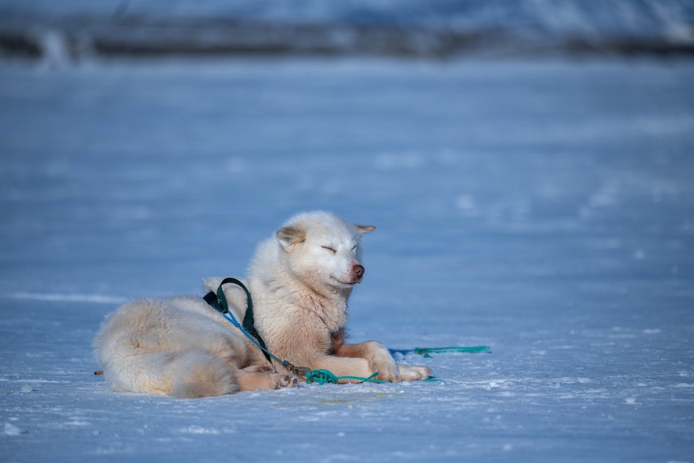 Pituffik Space Base Celebrates Greenlandic Heritage Week