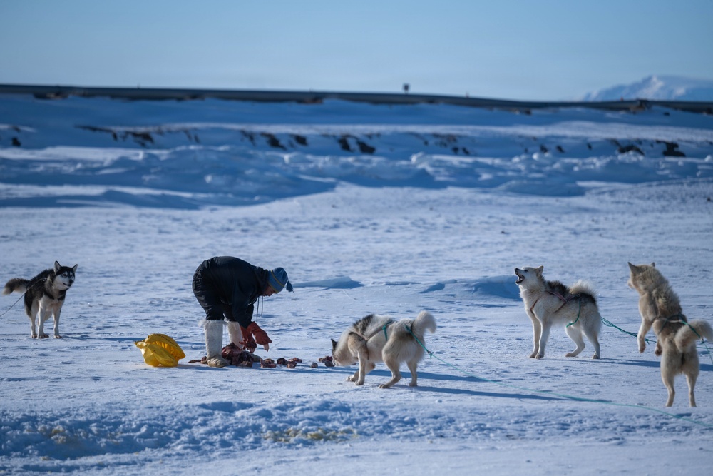 Pituffik Space Base Celebrates Greenlandic Heritage Week
