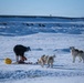 Pituffik Space Base Celebrates Greenlandic Heritage Week