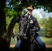 Full Military Funeral Honors with Escort are Conducted for U.S. Army Air Forces Sgt. James Murray in Section 71