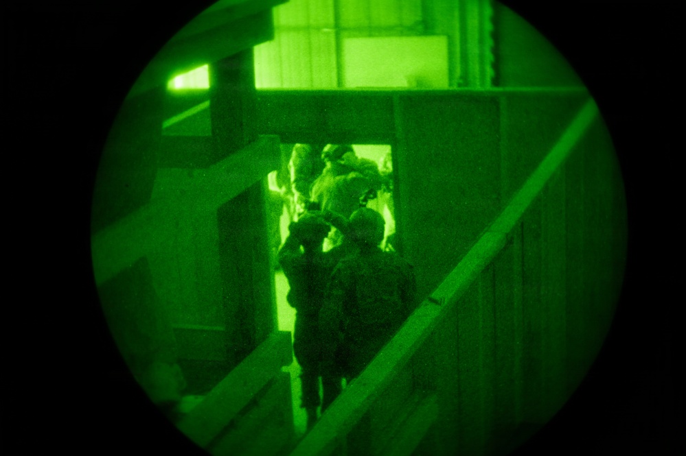 Silent Steps, Sharp Sights
