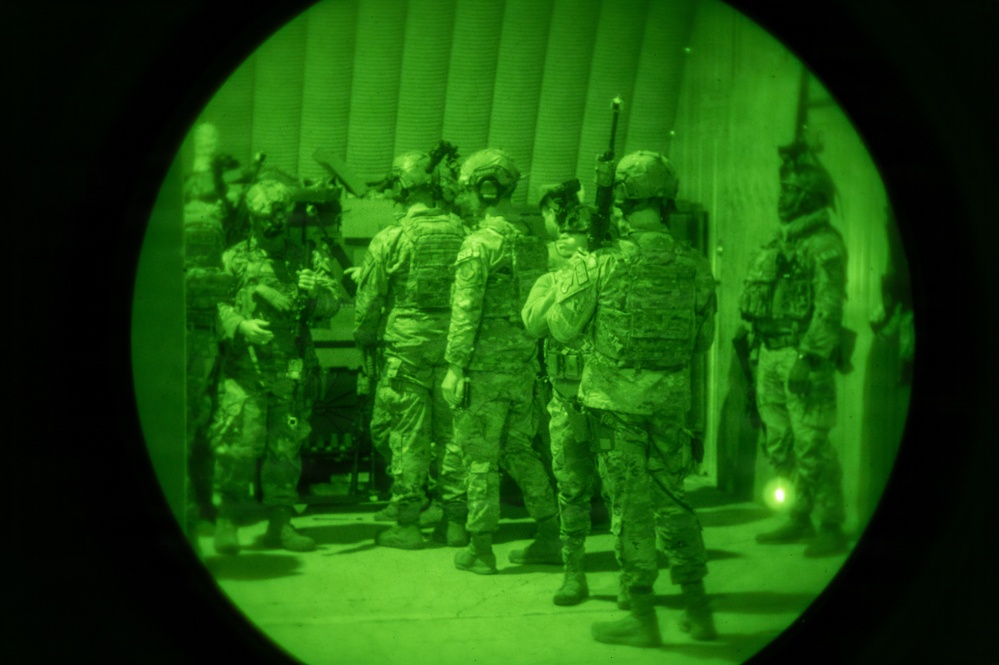 Silent Steps, Sharp Sights