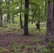 2026 Marine Corps Annual Rifle Squad Competition Day Ambush