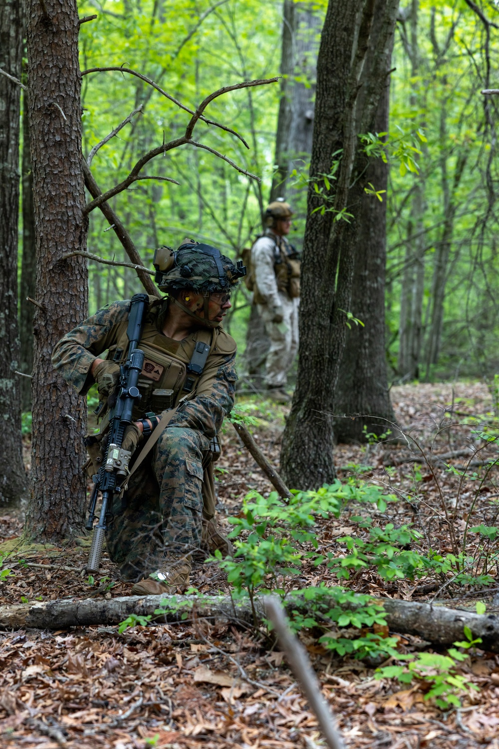 2026 Marine Corps Annual Rifle Squad Competition Day Ambush