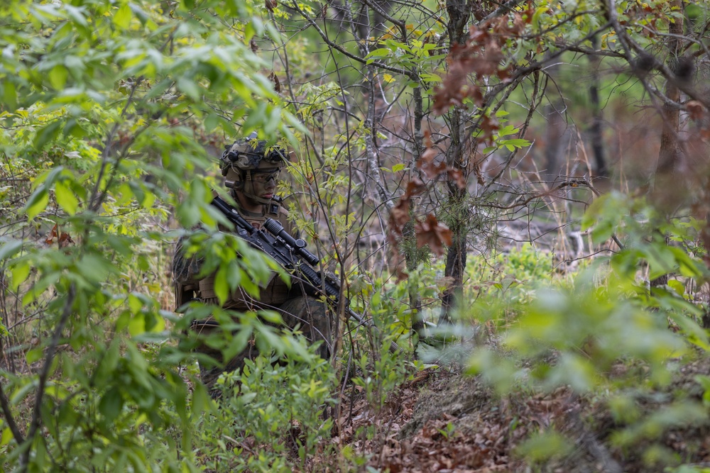 2026 Marine Corps Annual Rifle Squad Competition Day Ambush