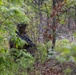2026 Marine Corps Annual Rifle Squad Competition Day Ambush