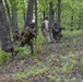 2026 Marine Corps Annual Rifle Squad Competition Day Ambush