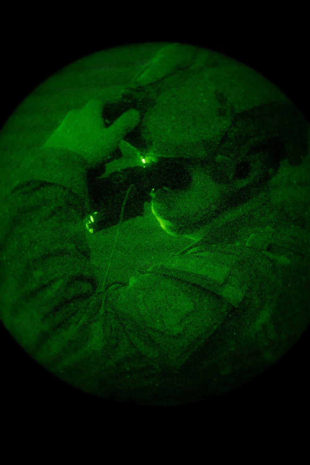 Silent Steps, Sharp Sights