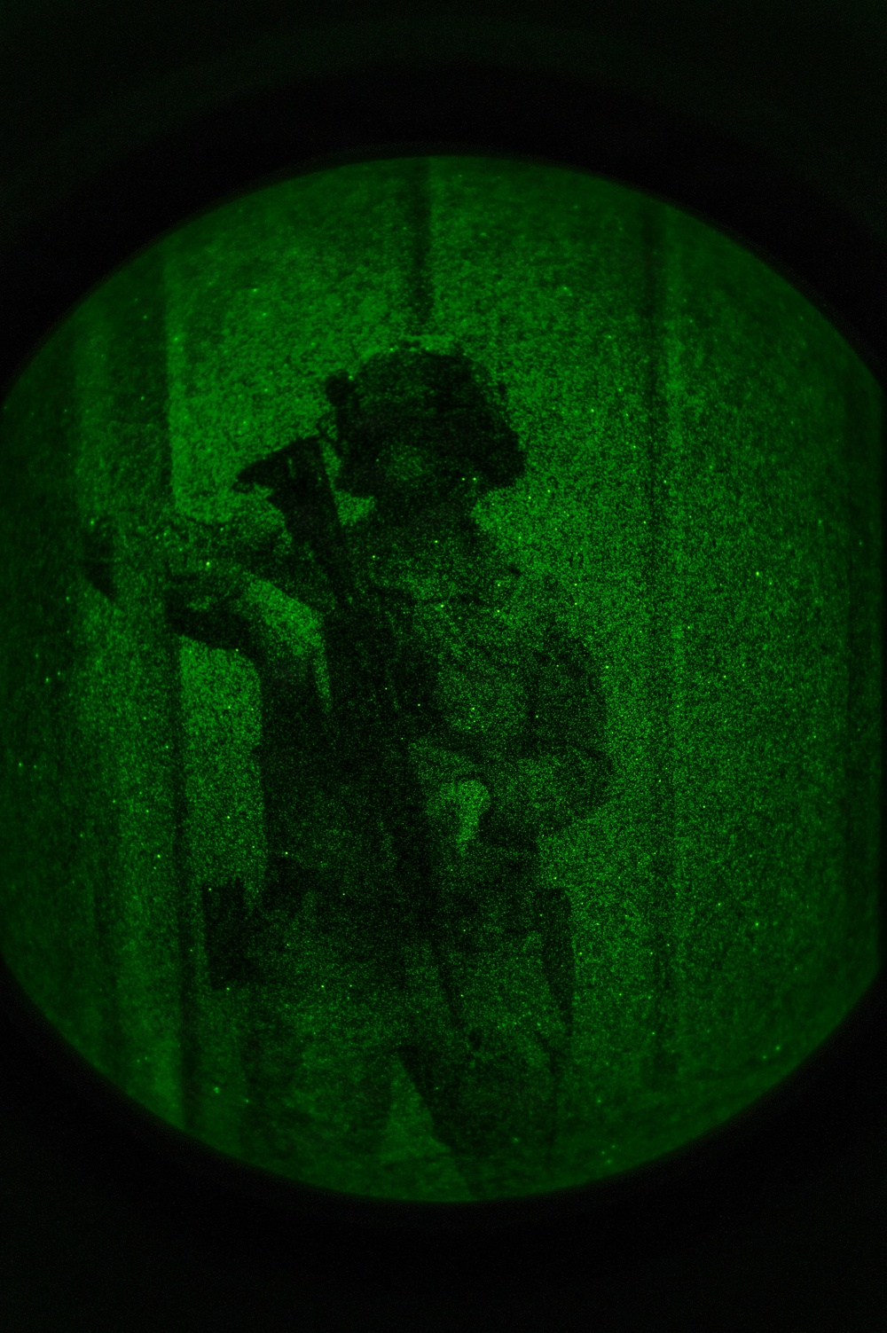 Silent Steps, Sharp Sights