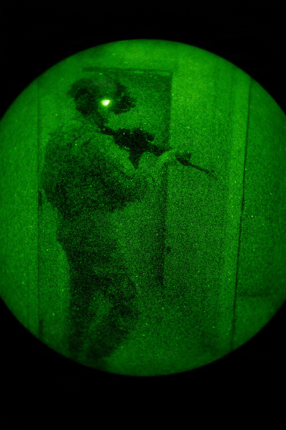Silent Steps, Sharp Sights