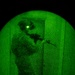 Silent Steps, Sharp Sights