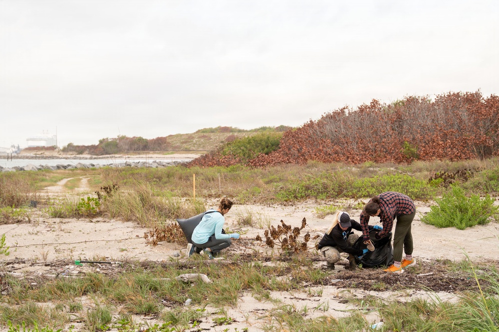 Beach Cleanup