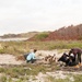 Beach Cleanup