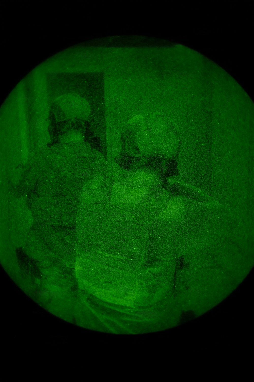 Silent Steps, Sharp Sights