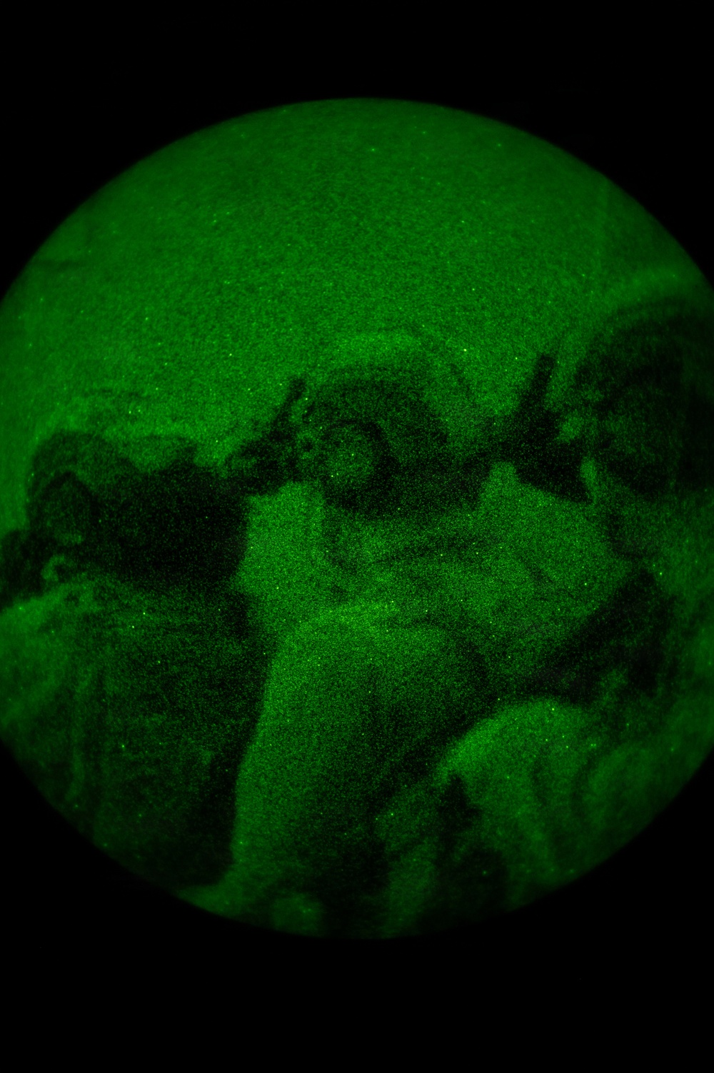 Silent Steps, Sharp Sights