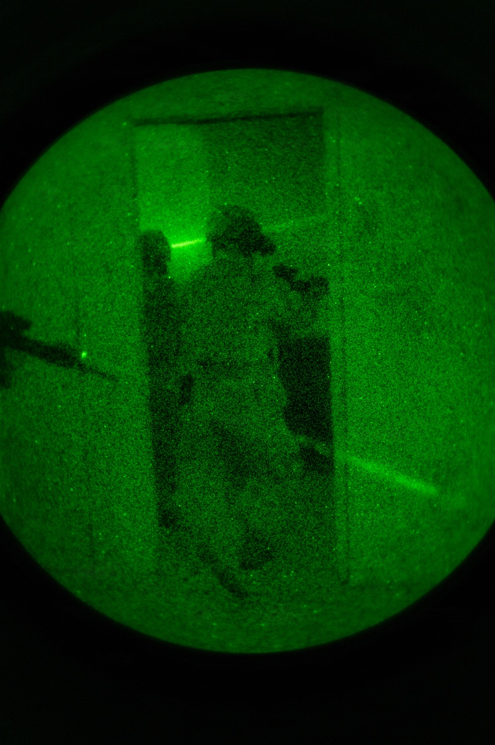 Silent Steps, Sharp Sights